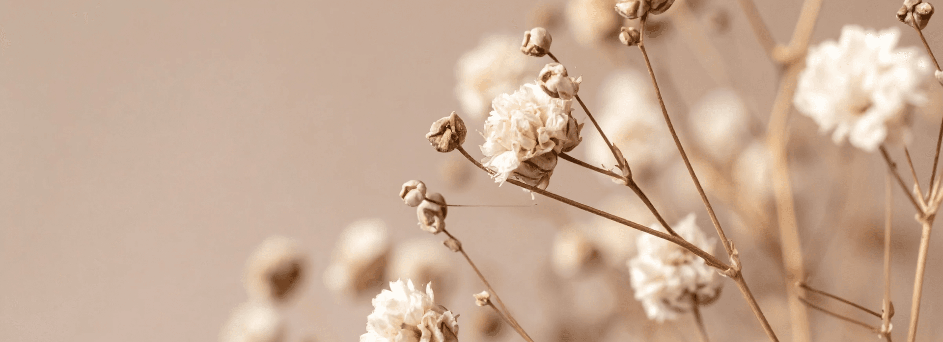 Banner background